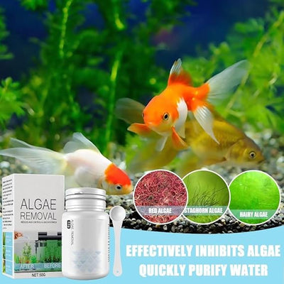 AquaClean™ | Neues Algenbekämpfungsmittel (1 + 1 Gratis)