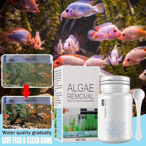 AquaClean™ | Neues Algenbekämpfungsmittel (1 + 1 Gratis)