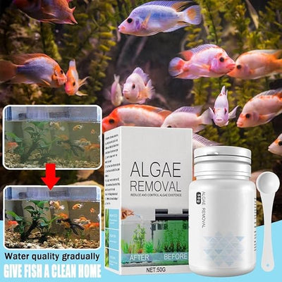 AquaClean™ | Neues Algenbekämpfungsmittel (1 + 1 Gratis)