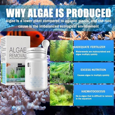 AquaClean™ | Neues Algenbekämpfungsmittel (1 + 1 Gratis)
