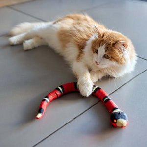 50% Rabatt | SnakeToy™ - Intelligentes Spielzeug für Katzen [Letzter Tag Rabatt]