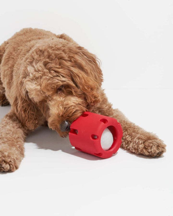 50% RABATT | FetchFun™ | Tennis Hundekauspielzeug [Letzter Tag Rabatt]